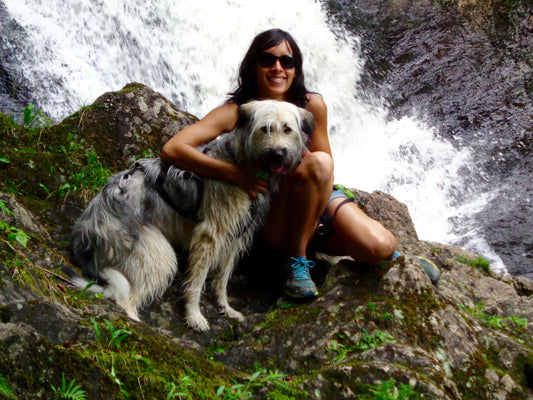 Mon chien n'est pas parfait...et... je suis éducateur canin!